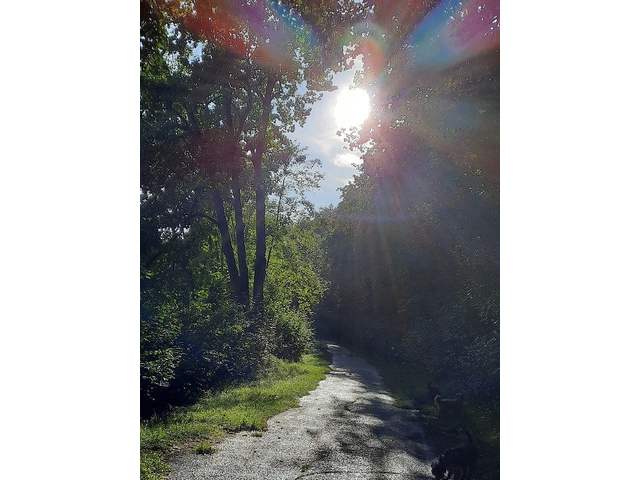 Im Frühling 2020 (6)